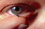 world’s smallest integrated circuit