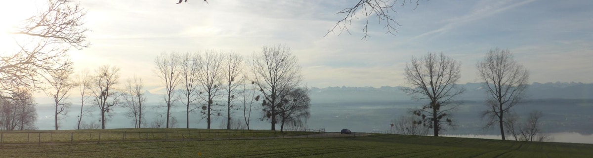 A view on top of the Mont Vully, trees, a lake, misty clouds