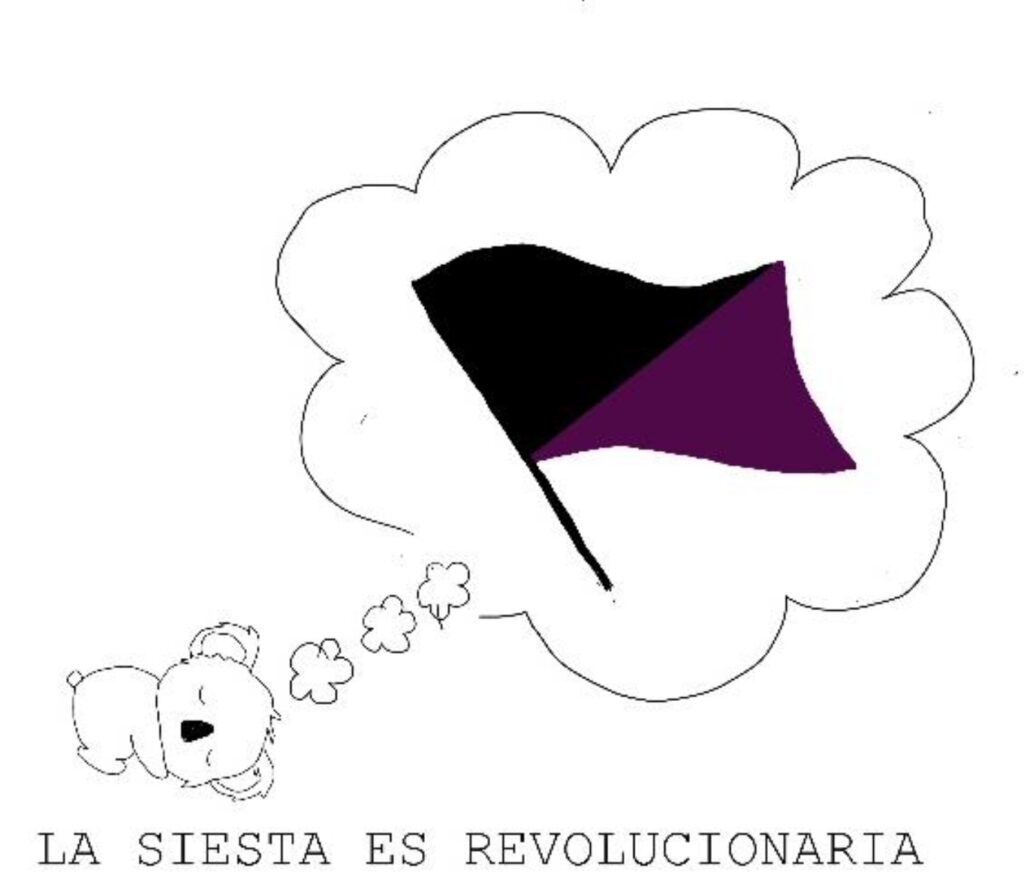 A koala bear dreaming of a black and purple flag, the quote reads la siesta es revolutionaria