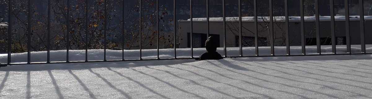 Some snow with a drowned buddha head