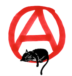 Anarchist kitten is taking a nap in the circle A