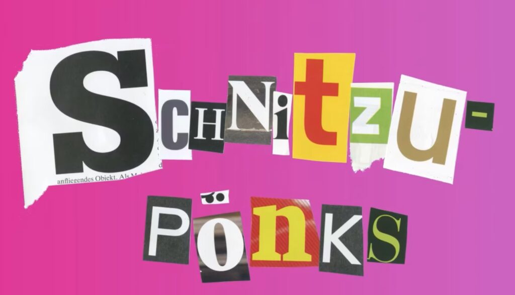 The logo of the video called Schnitzupönks