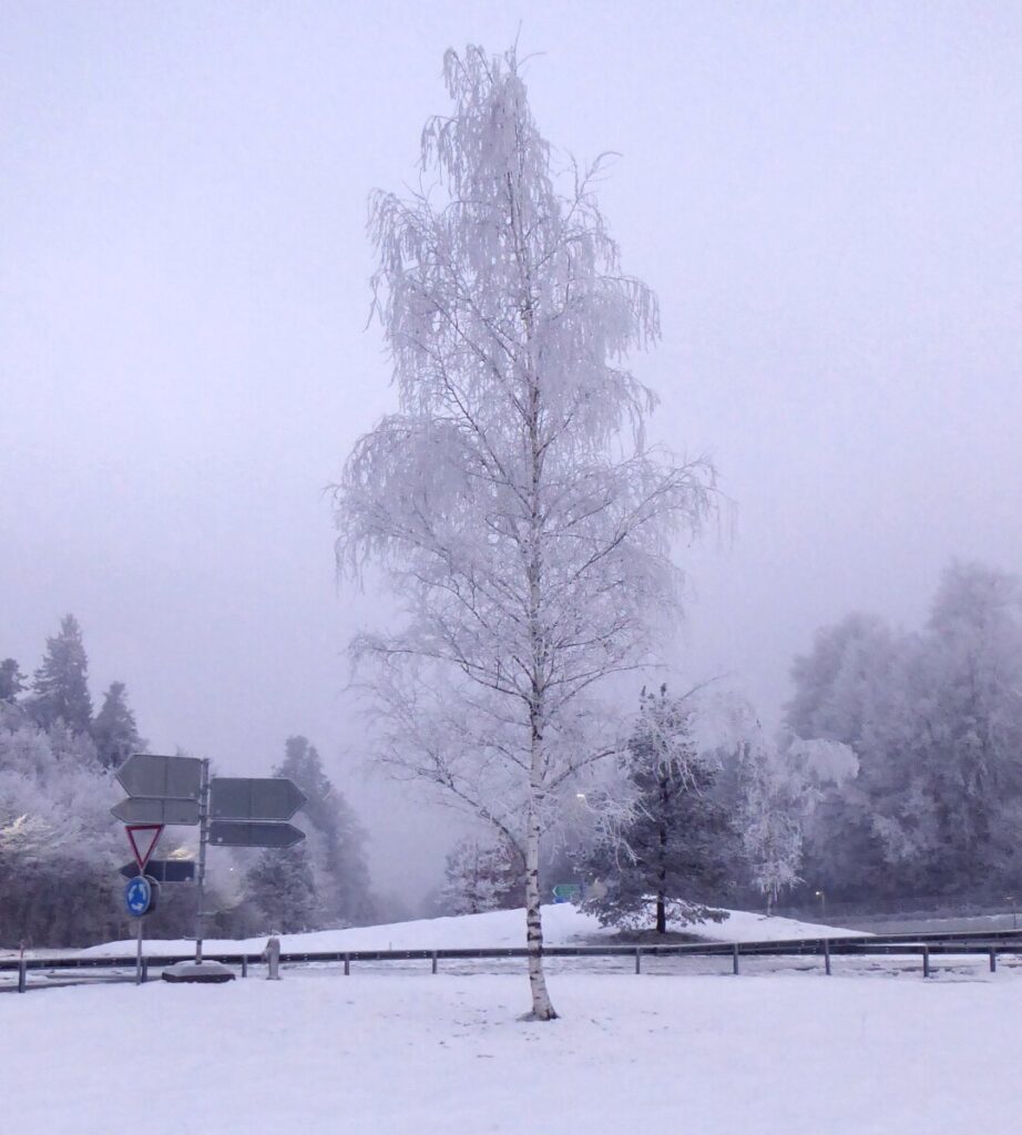 A snowy sad roundabout