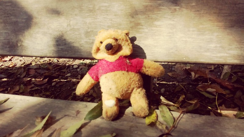 A deflated teddy bear in harsh light