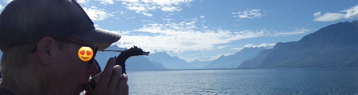 A person is sipping tea, behind them a bronze of a dragon and the view of the Lac Leman and mountains